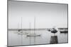 Four Boats & Seagull-Moises Levy-Mounted Photographic Print