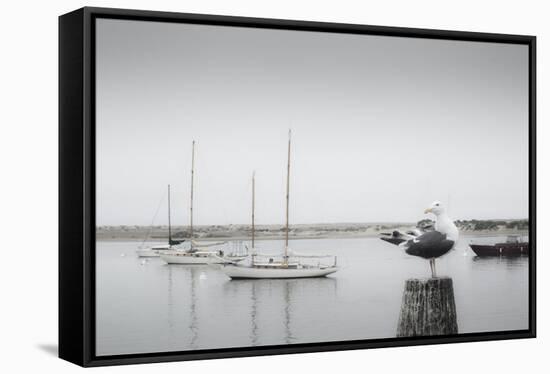 Four Boats & Seagull-Moises Levy-Framed Premier Image Canvas