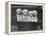 Four "Buckwheat" White Minature Poodle Puppies Standing in a Basket-Thomas Fall-Framed Premier Image Canvas