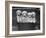 Four "Buckwheat" White Minature Poodle Puppies Standing in a Basket-Thomas Fall-Framed Photographic Print