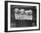 Four "Buckwheat" White Minature Poodle Puppies Standing in a Basket-Thomas Fall-Framed Photographic Print