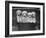 Four "Buckwheat" White Minature Poodle Puppies Standing in a Basket-Thomas Fall-Framed Photographic Print