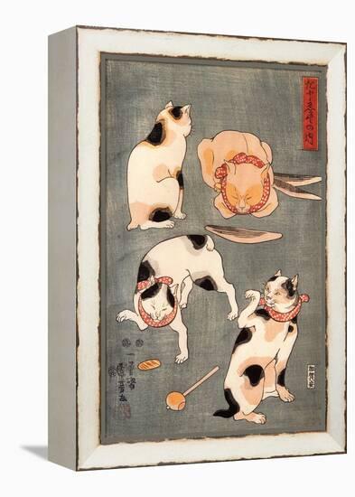 Four Cats in Different Poses-Kuniyoshi Utagawa-Framed Premier Image Canvas