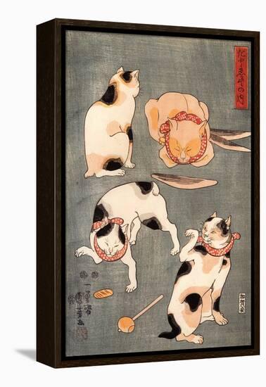 Four Cats in Different Poses-Kuniyoshi Utagawa-Framed Premier Image Canvas
