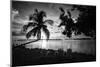 Four Chairs at Sunset - Florida-Philippe Hugonnard-Mounted Photographic Print