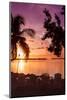 Four Chairs at Sunset - Florida-Philippe Hugonnard-Mounted Photographic Print
