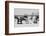 Four Chairs on the Beach - Florida-Philippe Hugonnard-Framed Photographic Print