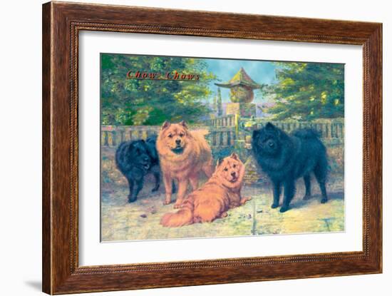 Four Champion Chow-Chows-null-Framed Art Print