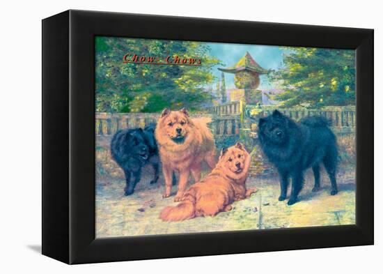 Four Champion Chow-Chows-null-Framed Stretched Canvas