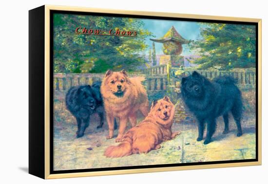 Four Champion Chow-Chows-null-Framed Stretched Canvas