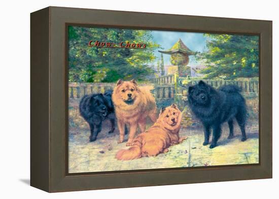 Four Champion Chow-Chows-null-Framed Stretched Canvas