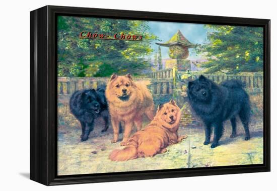 Four Champion Chow-Chows-null-Framed Stretched Canvas