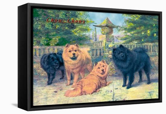 Four Champion Chow-Chows-null-Framed Stretched Canvas