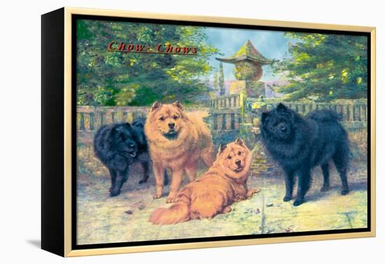 Four Champion Chow-Chows-null-Framed Stretched Canvas