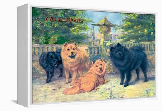 Four Champion Chow-Chows-null-Framed Stretched Canvas