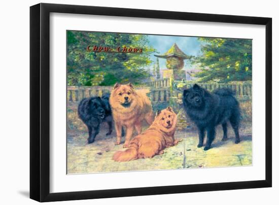 Four Champion Chow-Chows-null-Framed Art Print