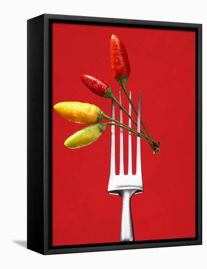 Four Chili Peppers on a Fork-Marc O^ Finley-Framed Premier Image Canvas