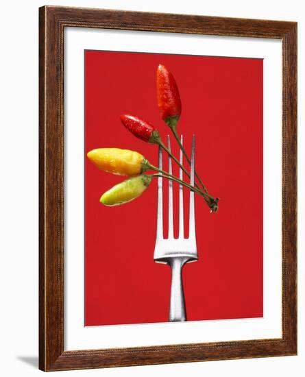 Four Chili Peppers on a Fork-Marc O^ Finley-Framed Photographic Print