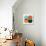 Four Circles-Eline Isaksen-Art Print displayed on a wall