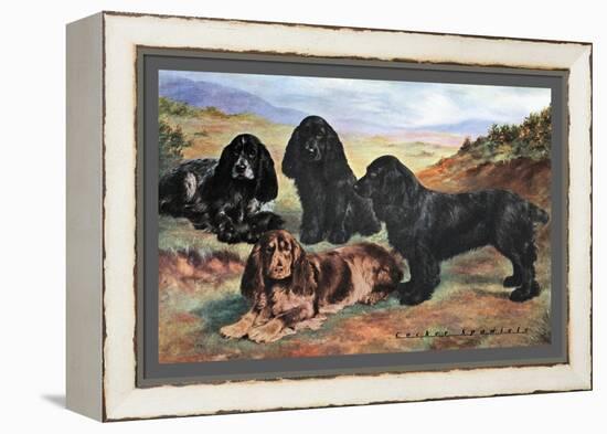 Four Cocker Spaniels-null-Framed Stretched Canvas