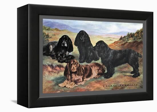 Four Cocker Spaniels-null-Framed Stretched Canvas