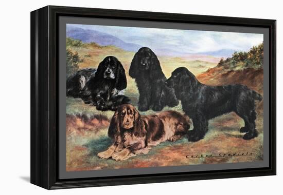 Four Cocker Spaniels-null-Framed Stretched Canvas