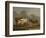 Four Cows in a Meadow-Paulus Potter-Framed Art Print