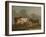 Four Cows in a Meadow-Paulus Potter-Framed Art Print