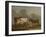 Four Cows in a Meadow-Paulus Potter-Framed Art Print