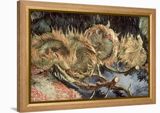 Four Cut Sunflowers, c.1887-Vincent van Gogh-Framed Premier Image Canvas