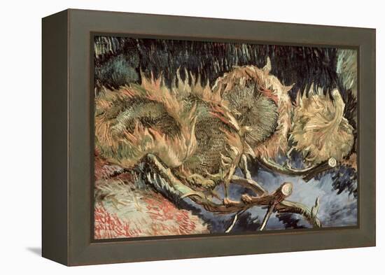 Four Cut Sunflowers, c.1887-Vincent van Gogh-Framed Premier Image Canvas