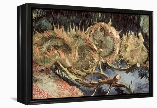 Four Cut Sunflowers, c.1887-Vincent van Gogh-Framed Premier Image Canvas