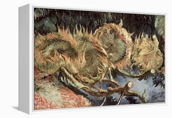 Four Cut Sunflowers, c.1887-Vincent van Gogh-Framed Premier Image Canvas