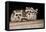 Four Cute Baby Raccoons on A Deck Railing-EEI_Tony-Framed Premier Image Canvas
