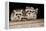 Four Cute Baby Raccoons on A Deck Railing-EEI_Tony-Framed Premier Image Canvas