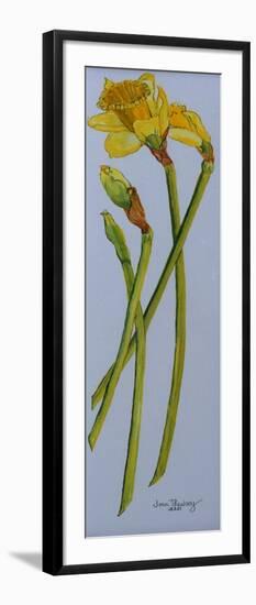 Four Daffodil Stems 2011-Joan Thewsey-Framed Giclee Print