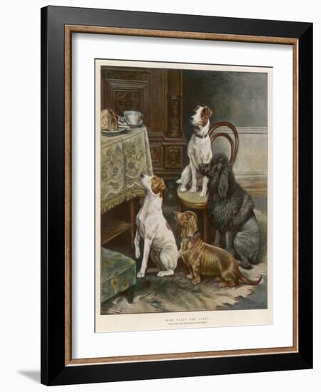 Four Dogs Lust after Their Owners' Food-Fanny Moody-Framed Photographic Print