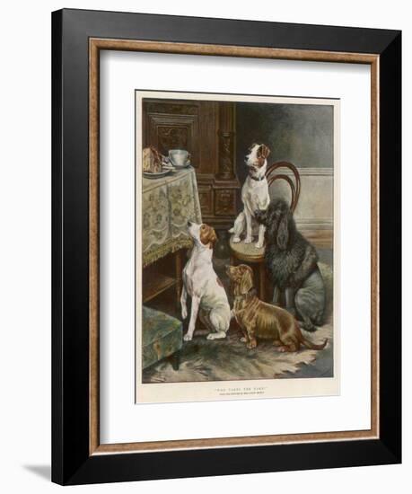 Four Dogs Lust after Their Owners' Food-Fanny Moody-Framed Photographic Print