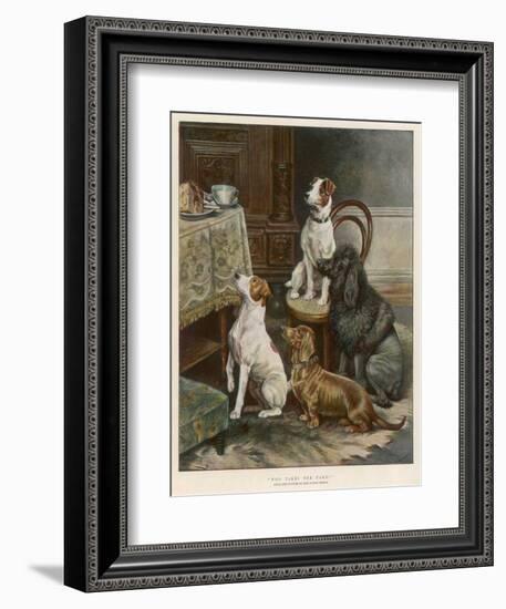 Four Dogs Lust after Their Owners' Food-Fanny Moody-Framed Photographic Print