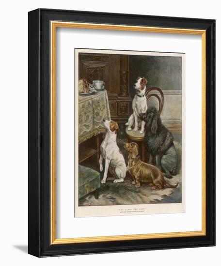 Four Dogs Lust after Their Owners' Food-Fanny Moody-Framed Photographic Print