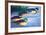 Four Ducks-Walasse Ting-Framed Art Print