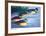 Four Ducks-Walasse Ting-Framed Art Print