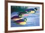 Four Ducks-Walasse Ting-Framed Art Print