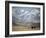 Four Eagle Hunters in Tolbo Sum, Golden Eagle Festival, Mongolia-Amos Nachoum-Framed Photographic Print