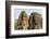 Four-Faced Towers in Prasat Bayon, Angkor Thom, Angkor, Siem Reap, Cambodia-Michael Nolan-Framed Photographic Print