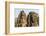 Four-Faced Towers in Prasat Bayon, Angkor Thom, Angkor, Siem Reap, Cambodia-Michael Nolan-Framed Photographic Print