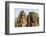 Four-Faced Towers in Prasat Bayon, Angkor Thom, Angkor, Siem Reap, Cambodia-Michael Nolan-Framed Photographic Print