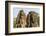 Four-Faced Towers in Prasat Bayon, Angkor Thom, Angkor, Siem Reap, Cambodia-Michael Nolan-Framed Photographic Print