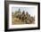 Four-Faced Towers in Prasat Bayon, Angkor Thom, Angkor, UNESCO World Heritage Site, Cambodia-Michael Nolan-Framed Photographic Print