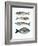 Four Fish I-Emma Scarvey-Framed Art Print